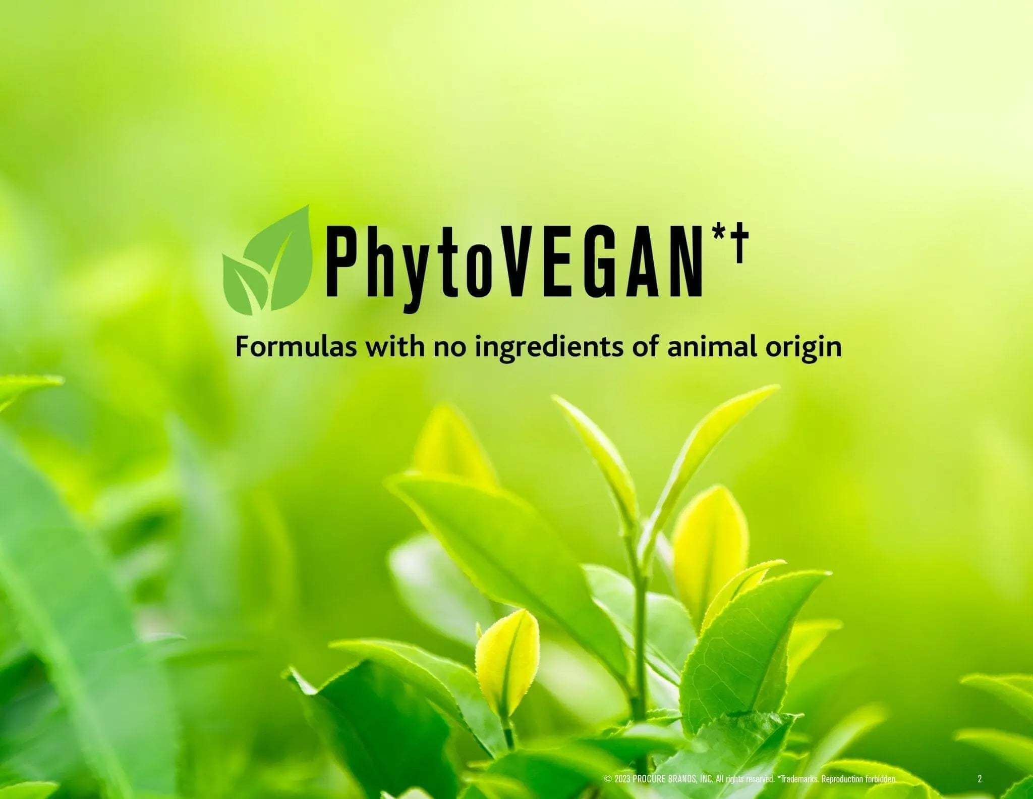 "PhytoVEGAN logo with green leaves background and text 'Formulas with no ingredients of animal origin'"